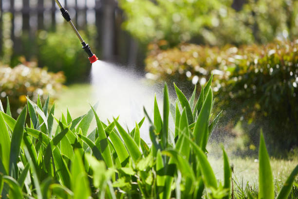 24/7 Emergency Mosquito Control experts in Daleville, IN