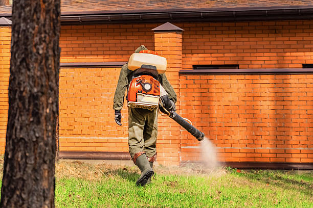 Top rated local Mosquito Control specialists in Daleville, IN